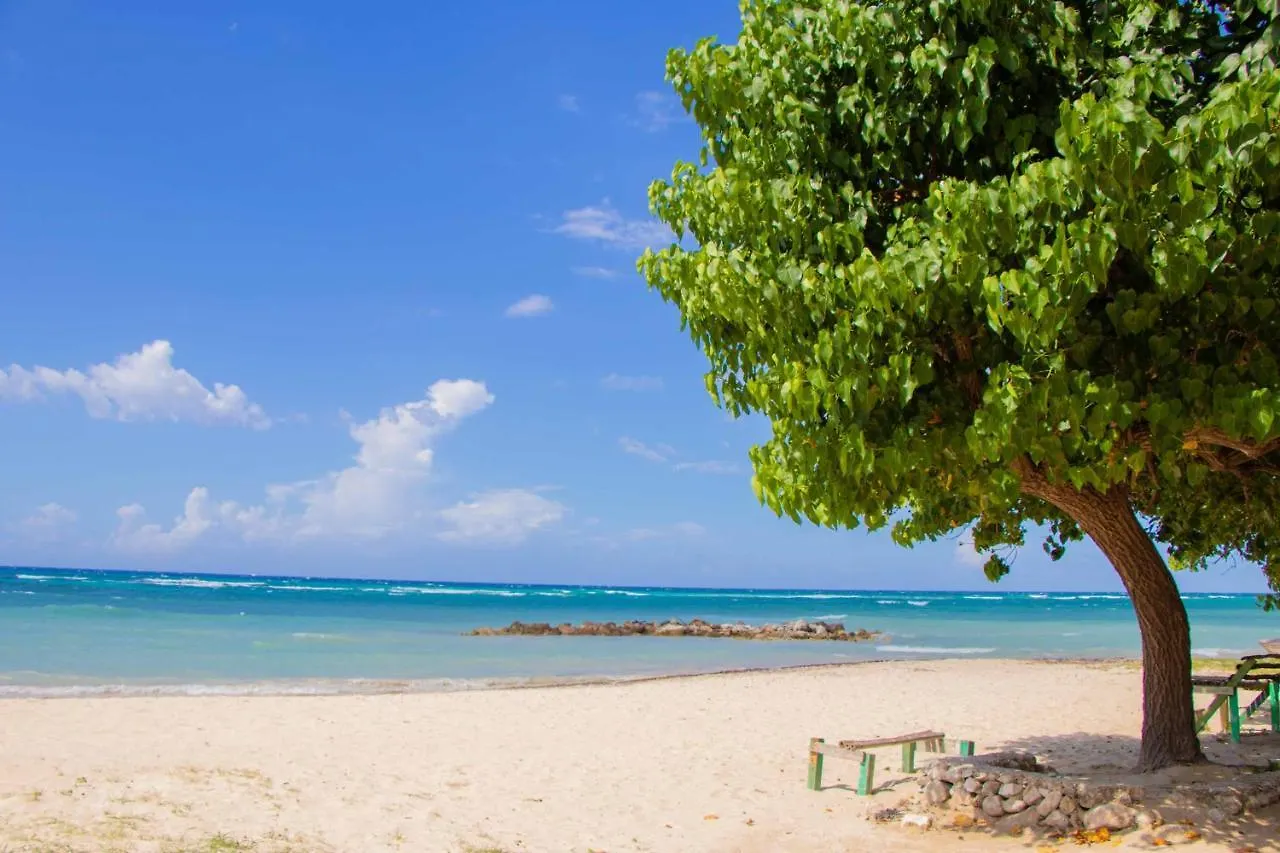 Lejlighed Beach Dreams At Seacastles Montego Bay Jamaica