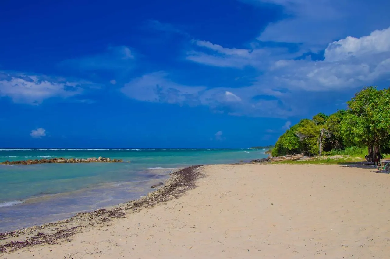 Beach Dreams At Seacastles Montego Bay